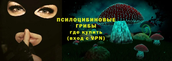 твердый Богородск