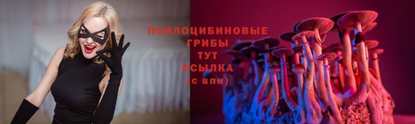 эйфоретик Богородицк