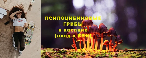 крисы Нестеровская